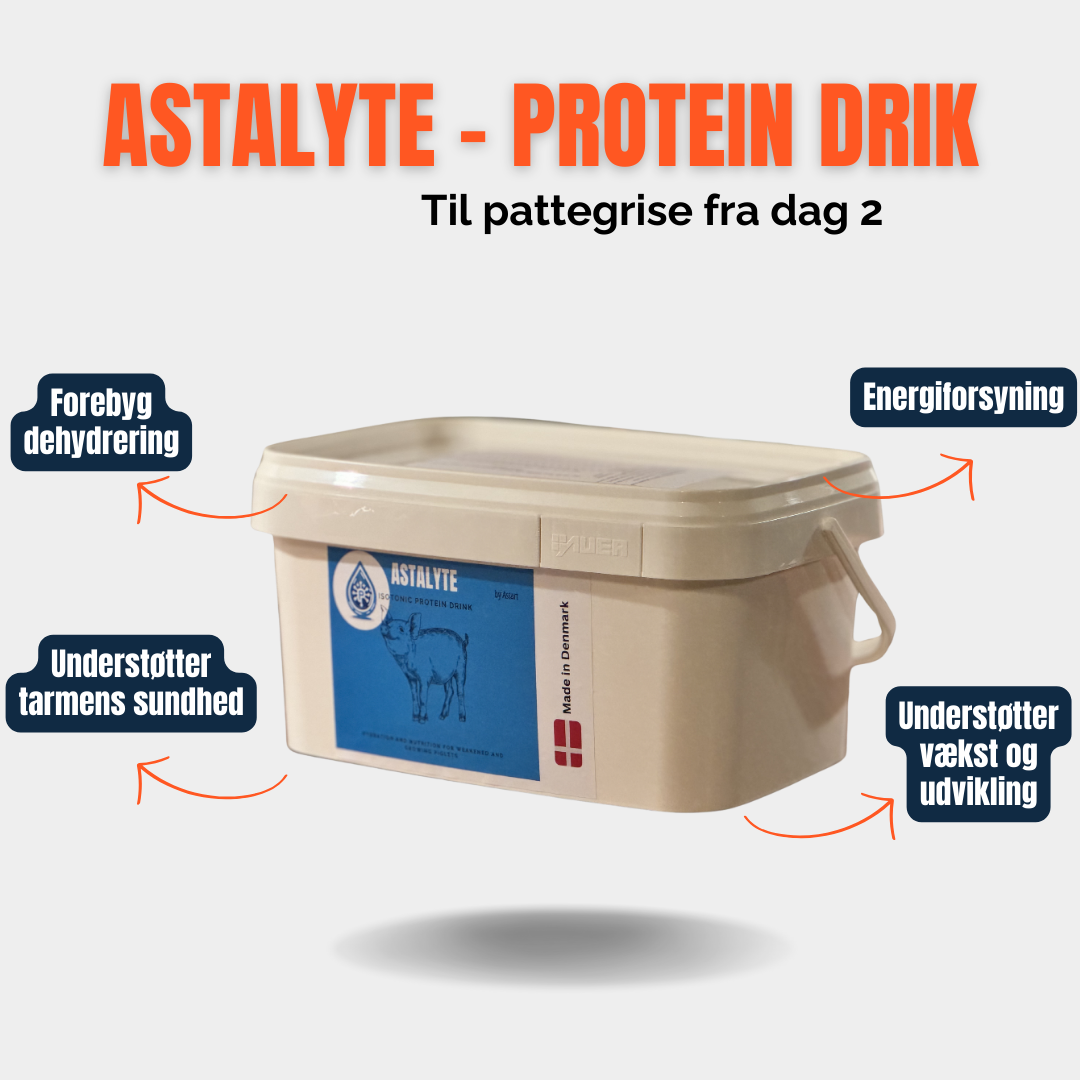 AstaLyte - Elektrolity i probiotyki dla prosiąt | Unikaj odwodnienia i wzmacniaj jelita