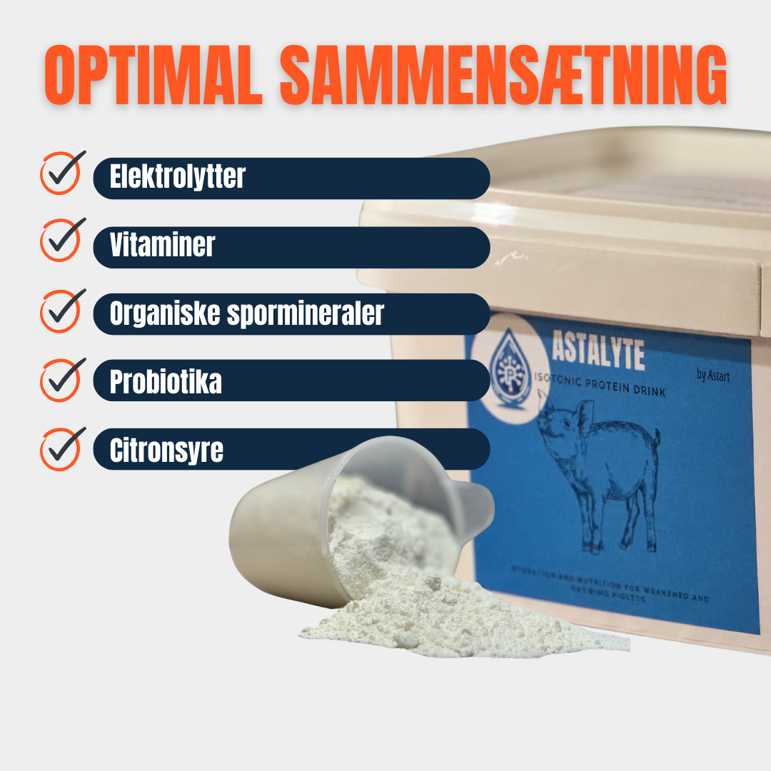 AstaLyte – Elektrolytter & Probiotika til pattegrise | Undgå dehydrering & styrk tarmen