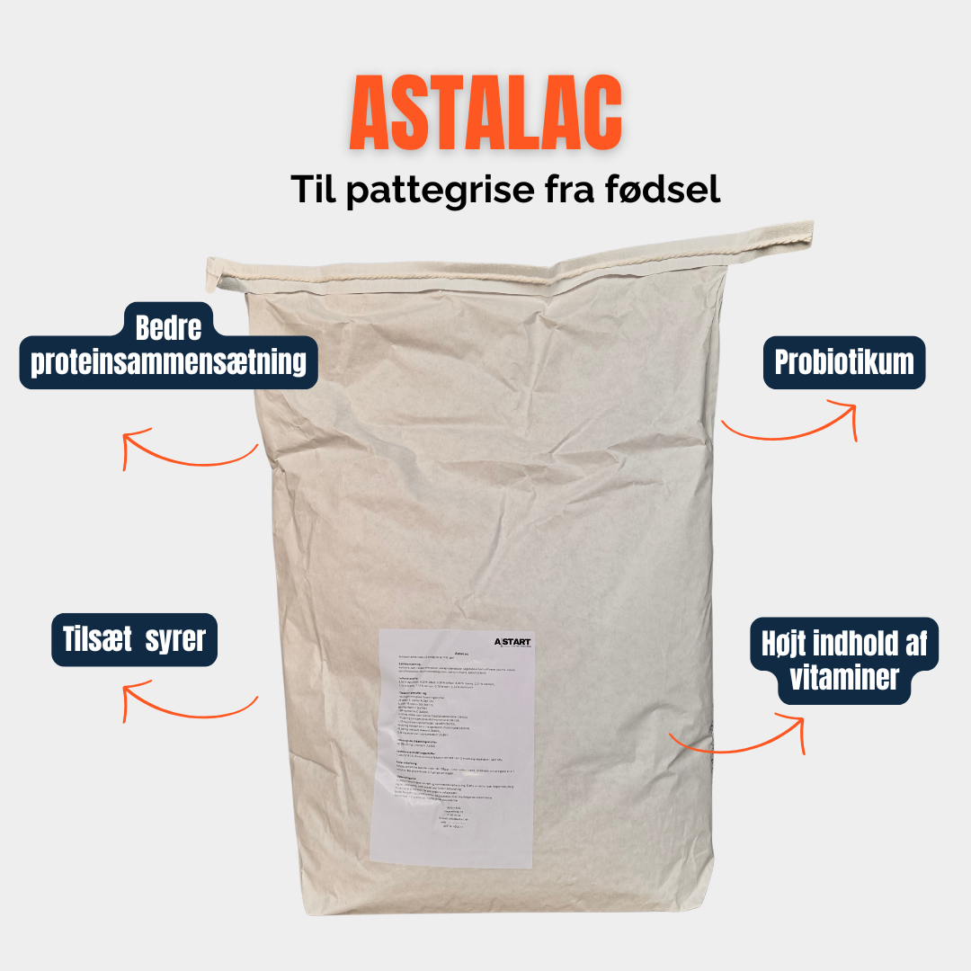 AstaLac - Żywienie podobne do jogurtu dla osłabionych prosiąt | Wsparcie odporności i wzrost | 15 kg