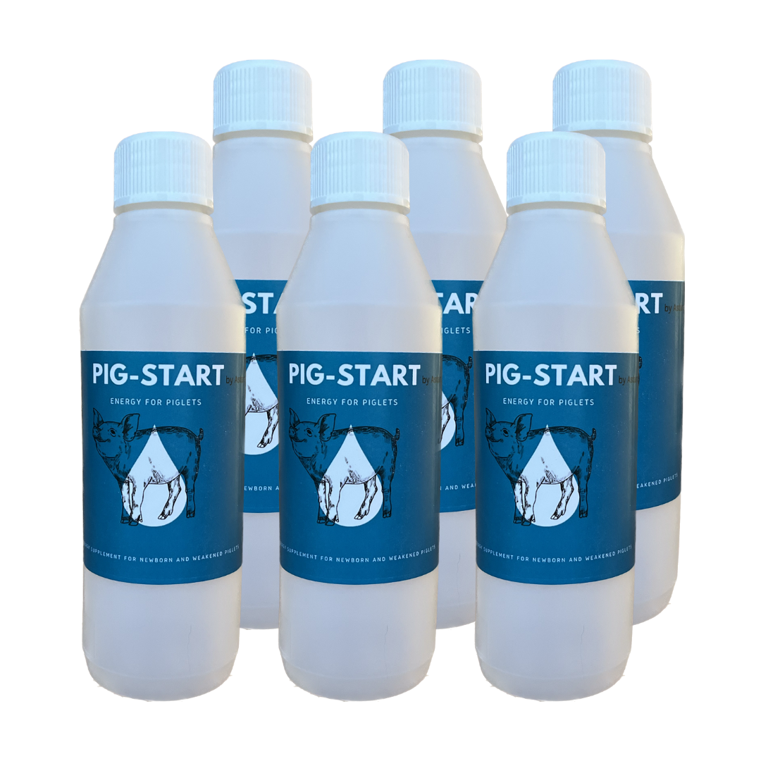 Plastic bottle 250 ml * 6 pcs